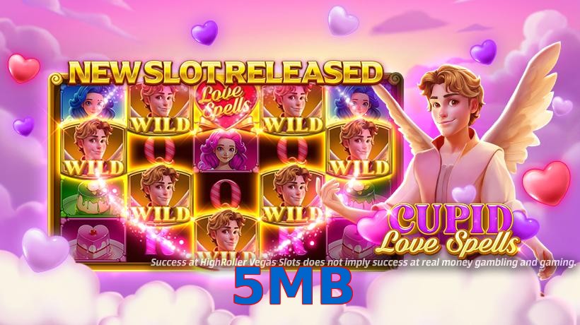 5MB