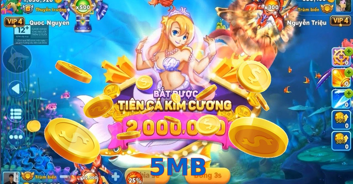 5MB