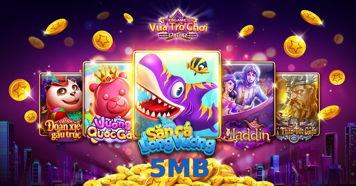 5MB