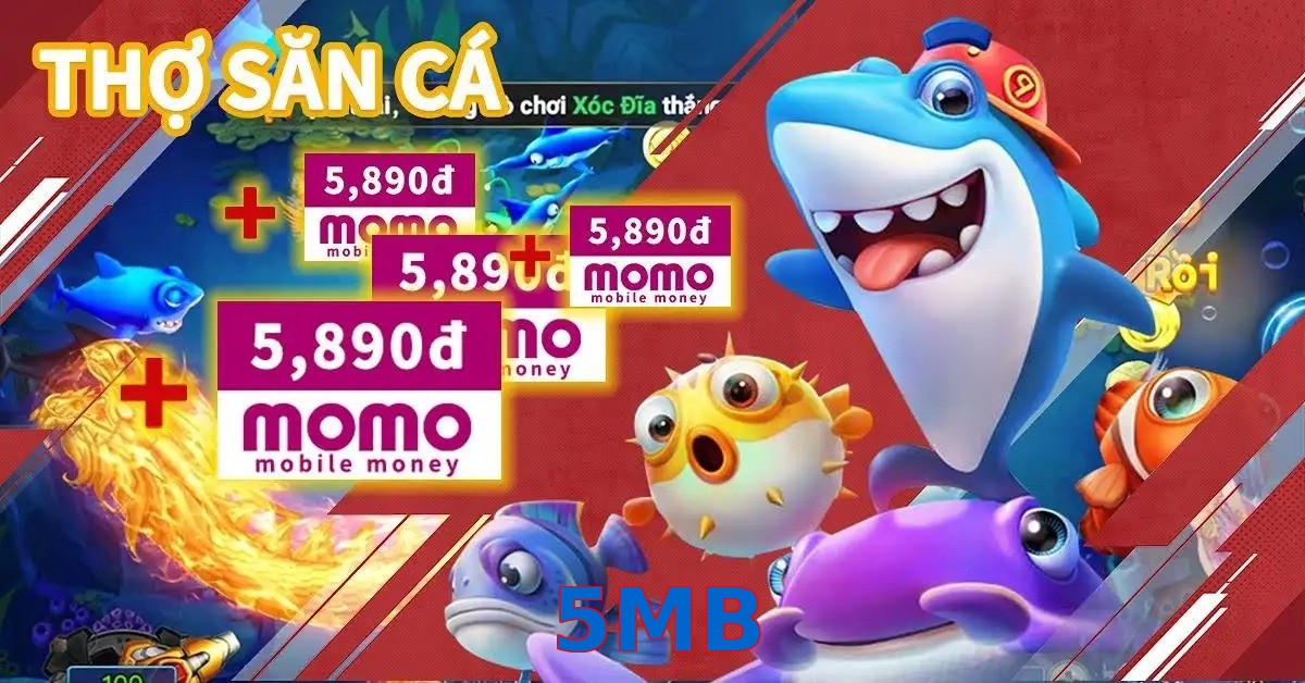 5MB