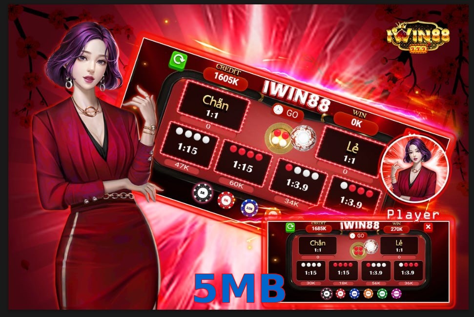 5MB