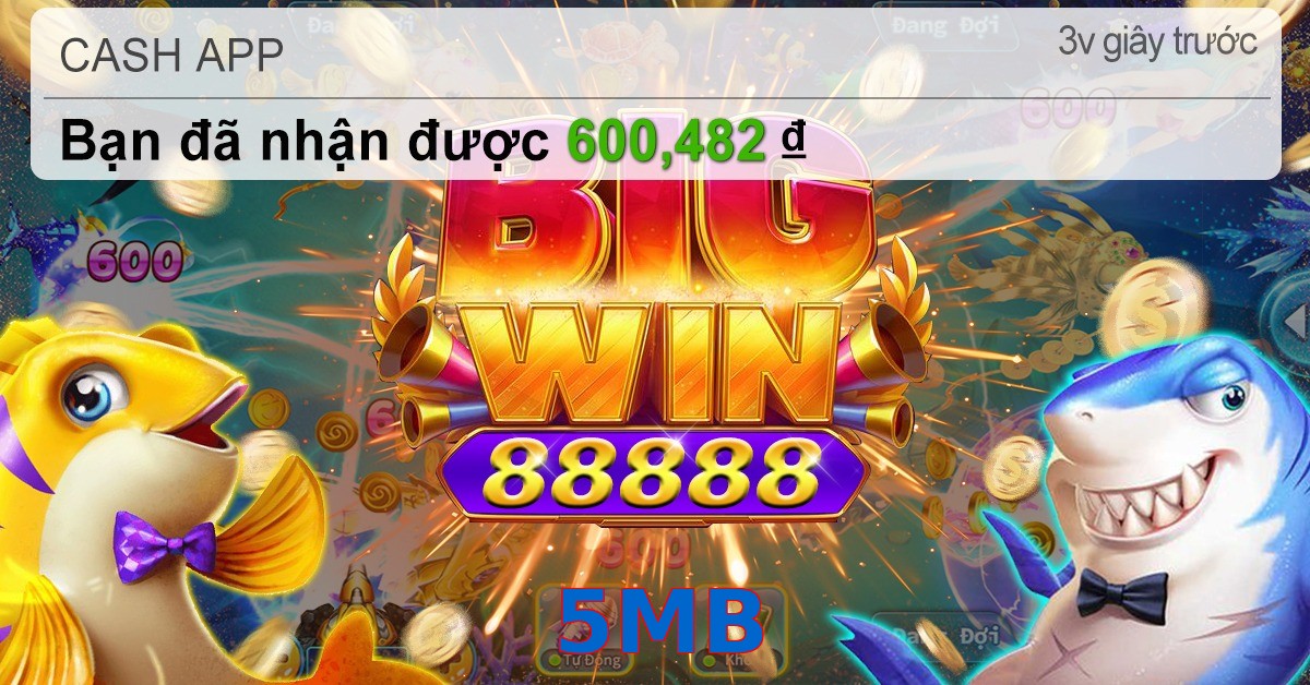 5MB