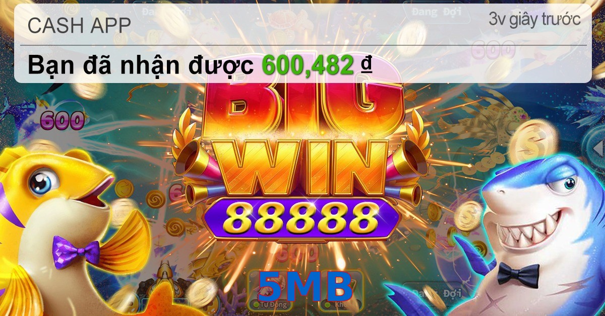 5MB