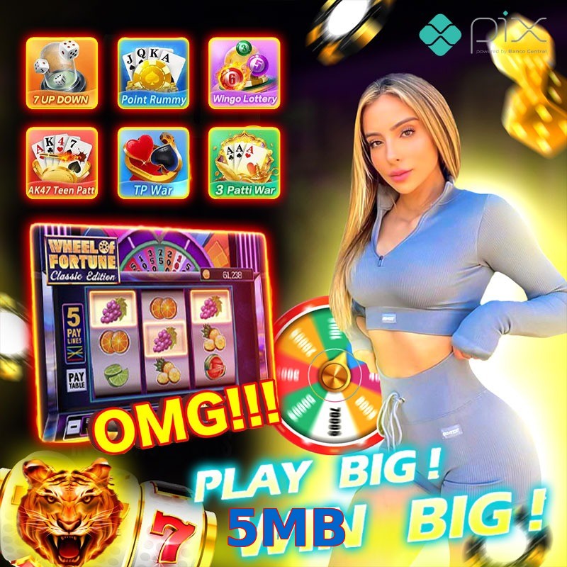 5MB